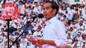 Indonesia Suffers Tragic Losses After Regional Elections