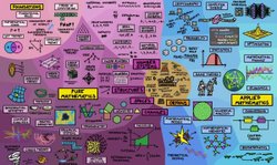 Matematik Kitapları