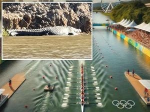 Crocodile-Infested River To Host 2032 Olympic Rowing Events