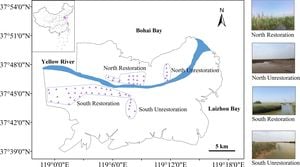 Ecological Restoration Boosts Hydropower Potential Along Yellow River