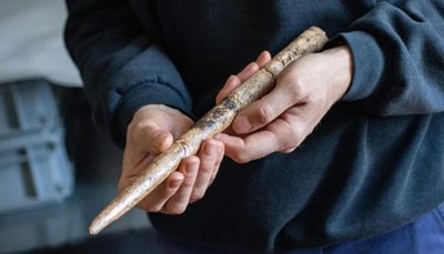 İnsanlar 20,000 Yıl Önce Balina Kemiklerinden Alet Yapıyordu!