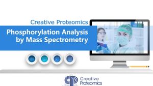 New SEC-MX Method Reveals Protein Dynamics And Phosphorylation Interplay