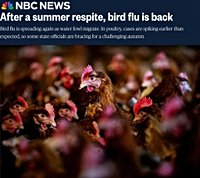 BREAKING: Bird Flu Mass Culling Resumes After Summer Pause — 4 Million Birds Exterminated in Past Month - Science, Public Health Policy and the Law