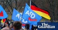 German spy agency labels AfD as ‘confirmed rightwing extremist’ force