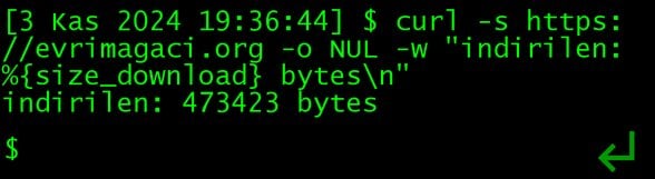 telefonda yaptığım (mobil operatör kullanarak) isteğin sonucunda aldığım yanıtın boyutu