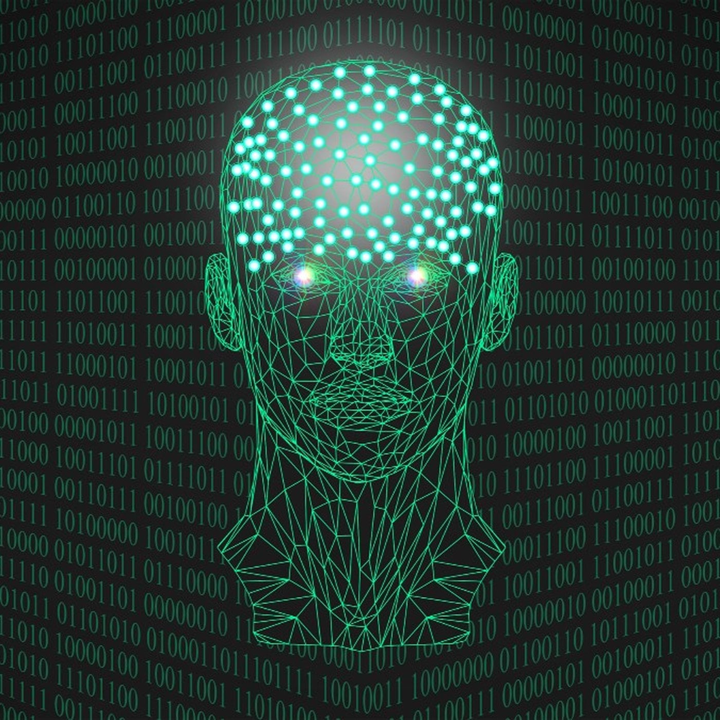 Evrim Ağacı ile Bilime Dair Her Şey!