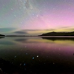  A December Summer Night 