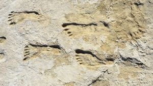 Footprints Uncover Ancient Hominin Coexistence