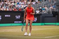 'I lost count!' Mertens saves 11 match points in 's-Hertogenbosch semifinals