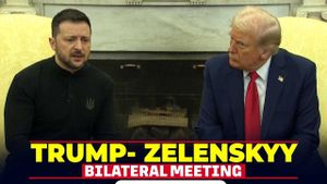 Trump-Zelenskyy Clash Disrupts Peace Deal Hopes