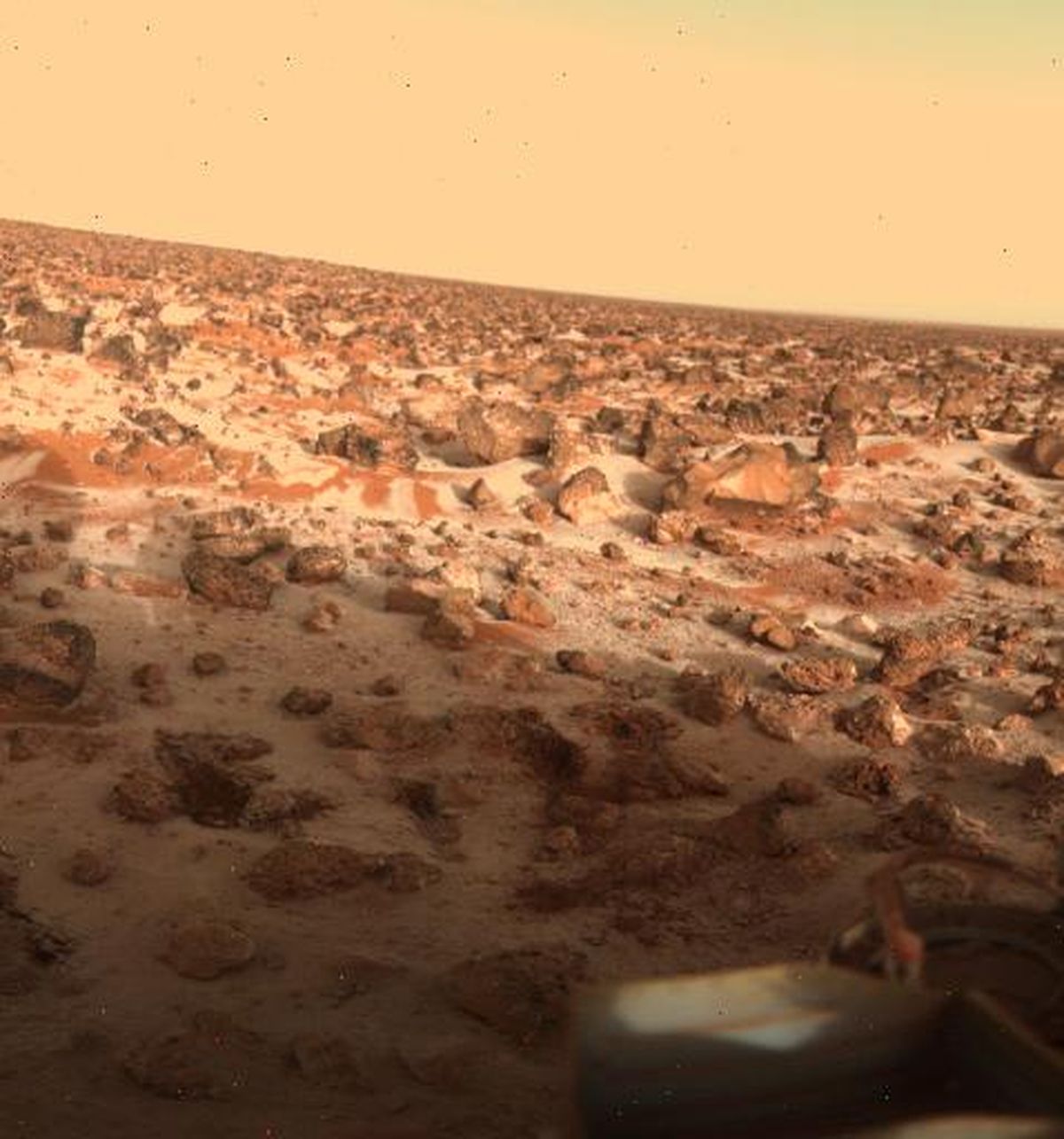 Could Hydrogen Peroxide Life Survive on Mars?