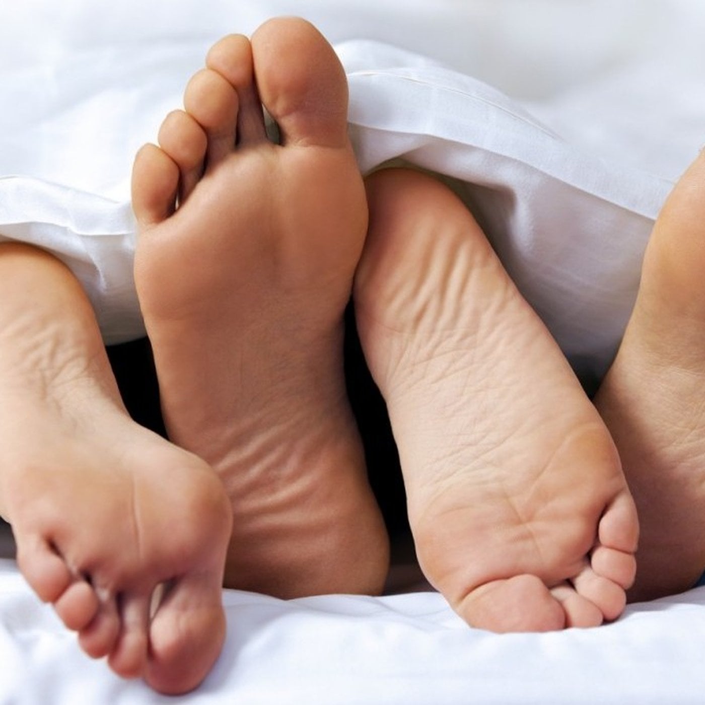 Evrim Ağacı ile Bilime Dair Her Şey!