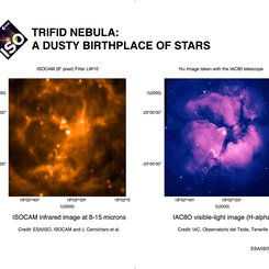 Kızılötesi Trifid