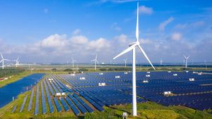 Fleet Alliance And Partners Lead Charge For Green Energy Solutions