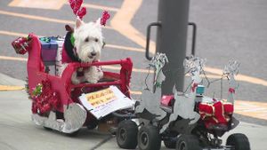 Pooches Parade In Christmas Sweaters