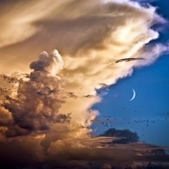 Clouds, Birds, Moon, Venus