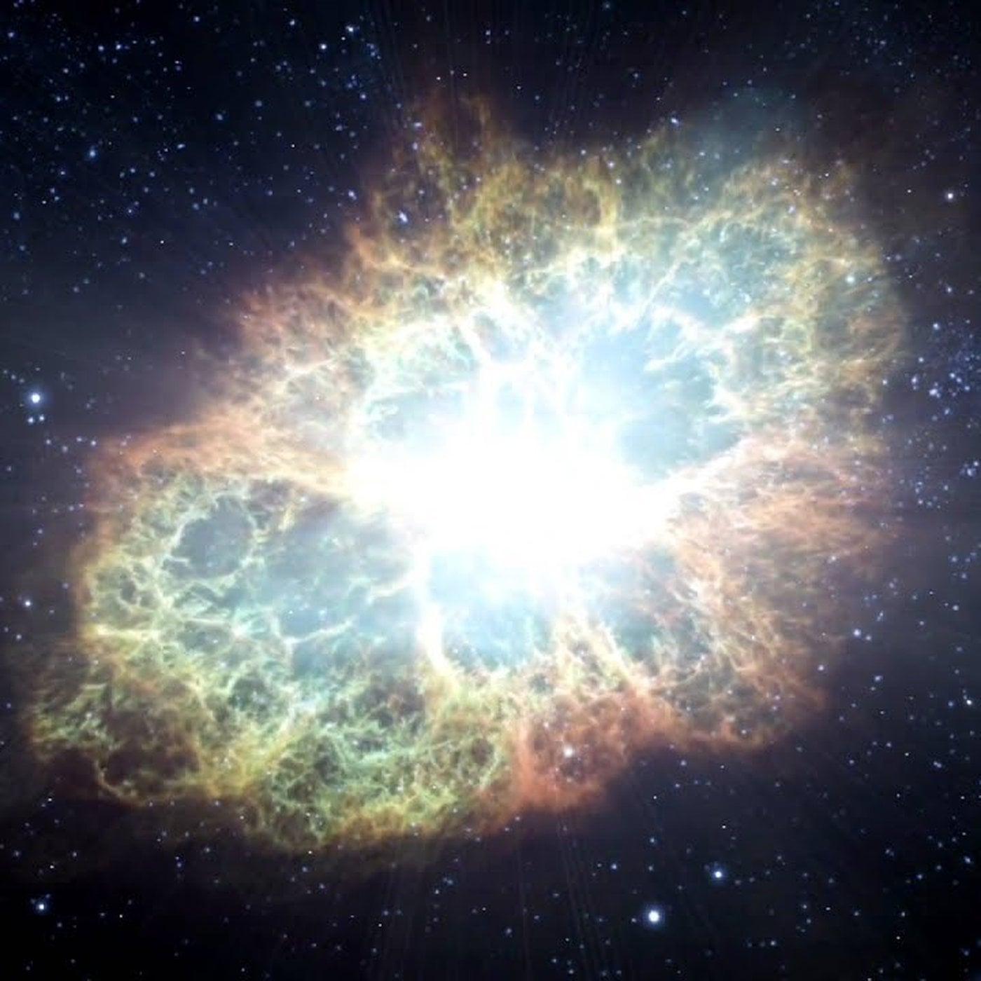 Evrim Ağacı ile Bilime Dair Her Şey!