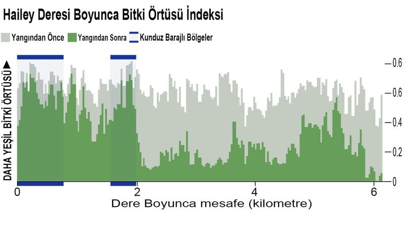 Araştırmanın Verilerini Gösteren Grafik