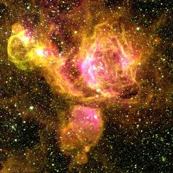 A Star Forming Region in the LMC