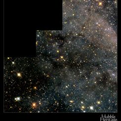 A Magellanic Starfield