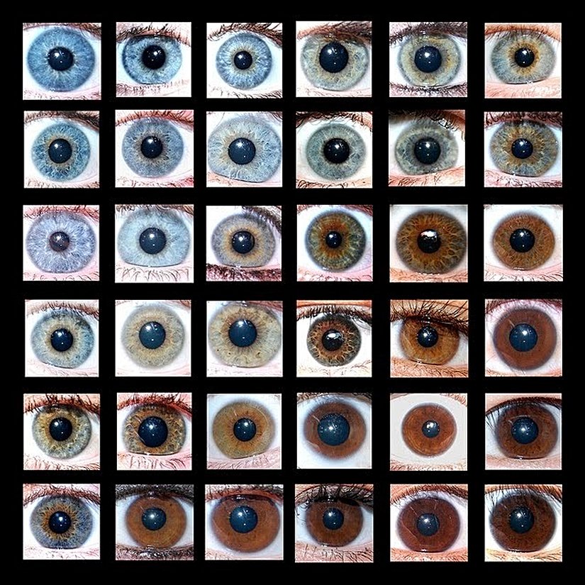 İnsanlarda görülen bazı göz renkleri...