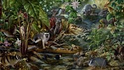 Doğa Bilgi Üretebilir mi? Evrimsel Bilginin Epistemolojik Muhasebesi