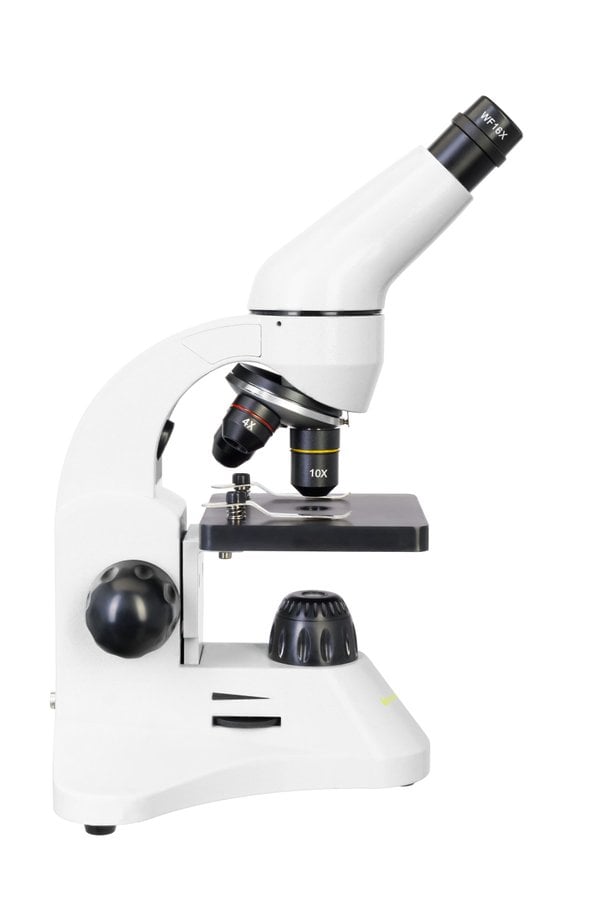 Levenhuk Rainbow D50L PLUS 2M Dijital Mikroskop, Moonstone