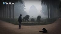 Delhi’s air quality turns ‘hazardous’ after Diwali fireworks raise PM2.5 levels 59 times above WHO limit