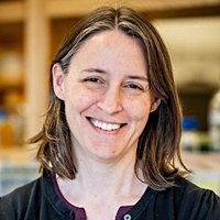 Mary Dunlop Awarded NIH and NSF Grants | Photonics Center