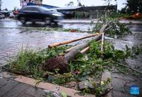 China Activates Emergency Response as Typhoon Matmo Batters Coastal Regions