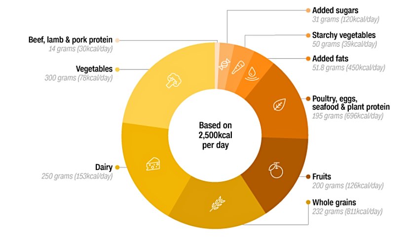 Gezegensel Sağlık Diyeti