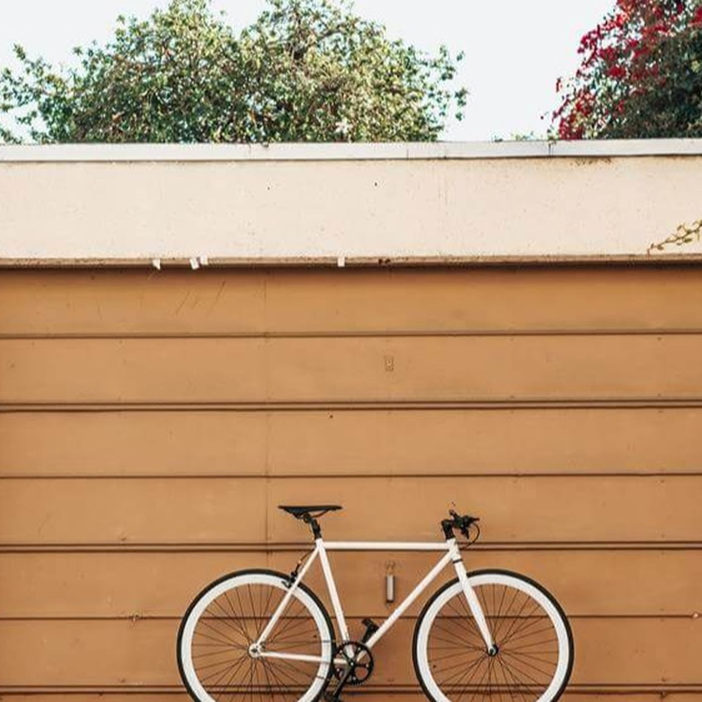 Bikeshedding ve Önemsizlik Kanunu: Neden İnsanlar Küçük Meselelere Takılıp Kalırlar?