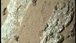 NASA Mars'ta yaşam belirtisi buldu