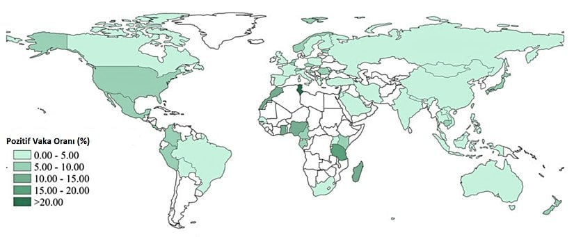 OC43 ve Diğer Mevsimsel Koronavirüslerin Dağılımı