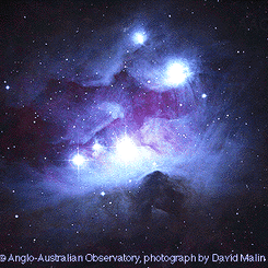 NGC 1977: Orion'daki Mavi Yansıma Bulutsusu