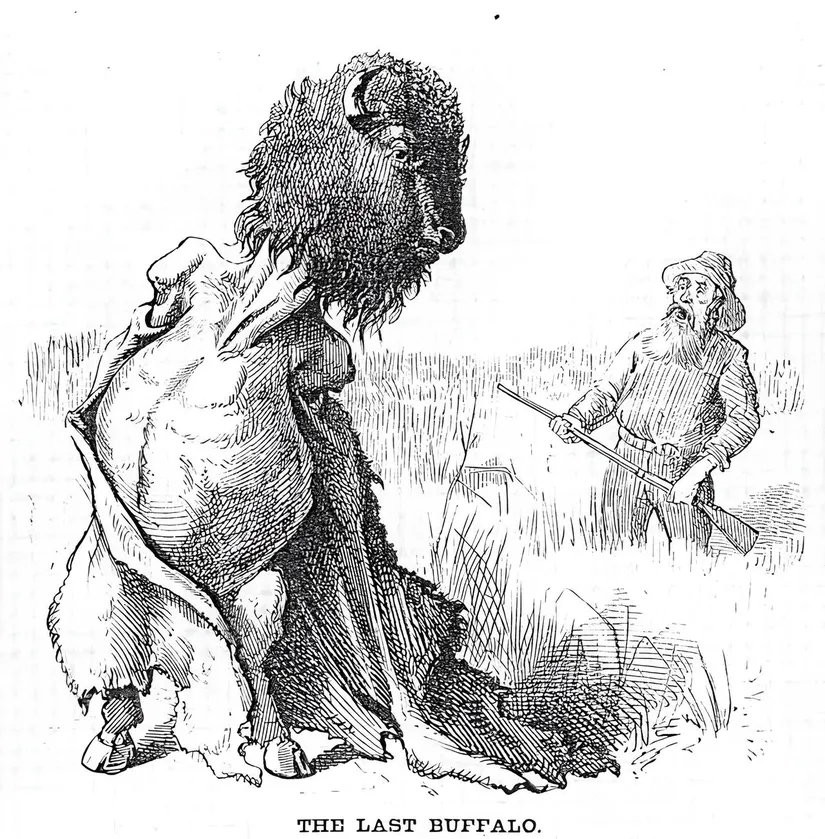 Thomas Nast, &quot;The Last Buffalo&quot; (Son Bizon).