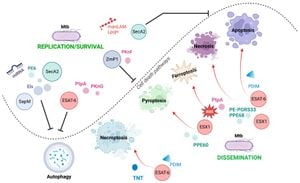 Rifampicin-Resistant Mycobacterium Tuberculosis Shows Increased Virulence Through Th2 Polarization