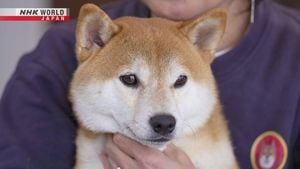 Naoto Takenaka Shares Heartfelt Goodbye To Beloved Dog