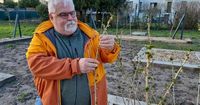 Haguenau. Un jardin comestible accessible à tous au parc de la Moder