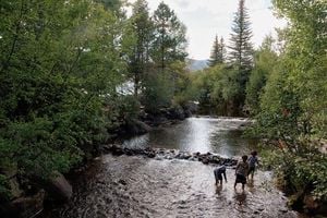 Flood Resilience Efforts Rise After Deadly Disasters