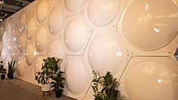 Hochul, New York'ta Çevre Dostu Cenaze Törenleri İçin İnsan Gübrelemesini Yasallaştırdı