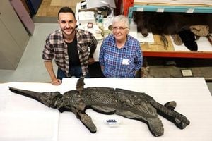 Sword Dragon Fossil Discovery Sheds Light On Jurassic Coast