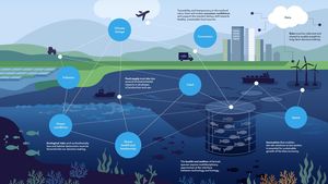 Sustainable Innovations Transform Aquaculture Practices