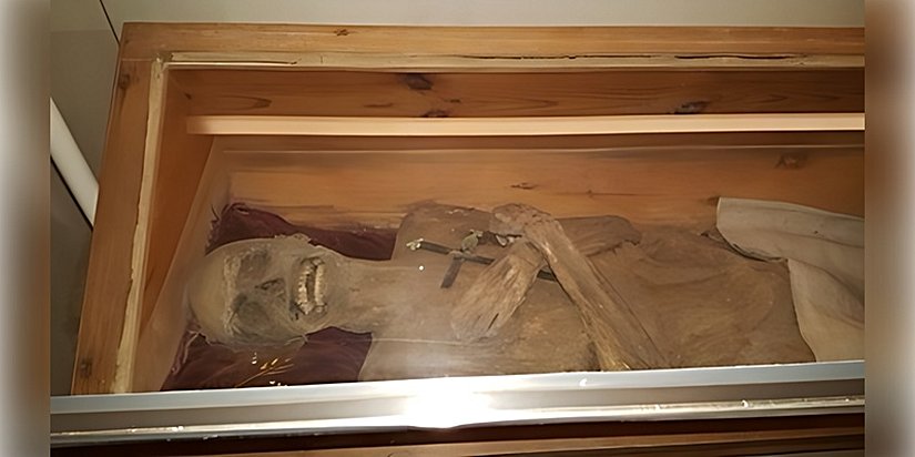 Avusturya'daki St. Thomas am Blasenstein kilisesinin mahzenindeki tabutunda bulunan 'hava ile kurutulmuş papaz' mumyası. Fotoğraf: Andreas Nerlich.