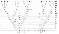 Türlerin Kökeni'ni Öğrenmek İsteyenler İçin Eserin Bazı Önemli Bölümleri-1