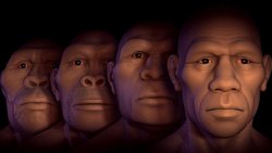 İnsan Evrimi Sona Erdi mi?