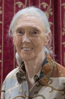 Jane Goodall