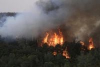 Jerusalem wildfires latest: Israel declares national emergency and appeals for aid