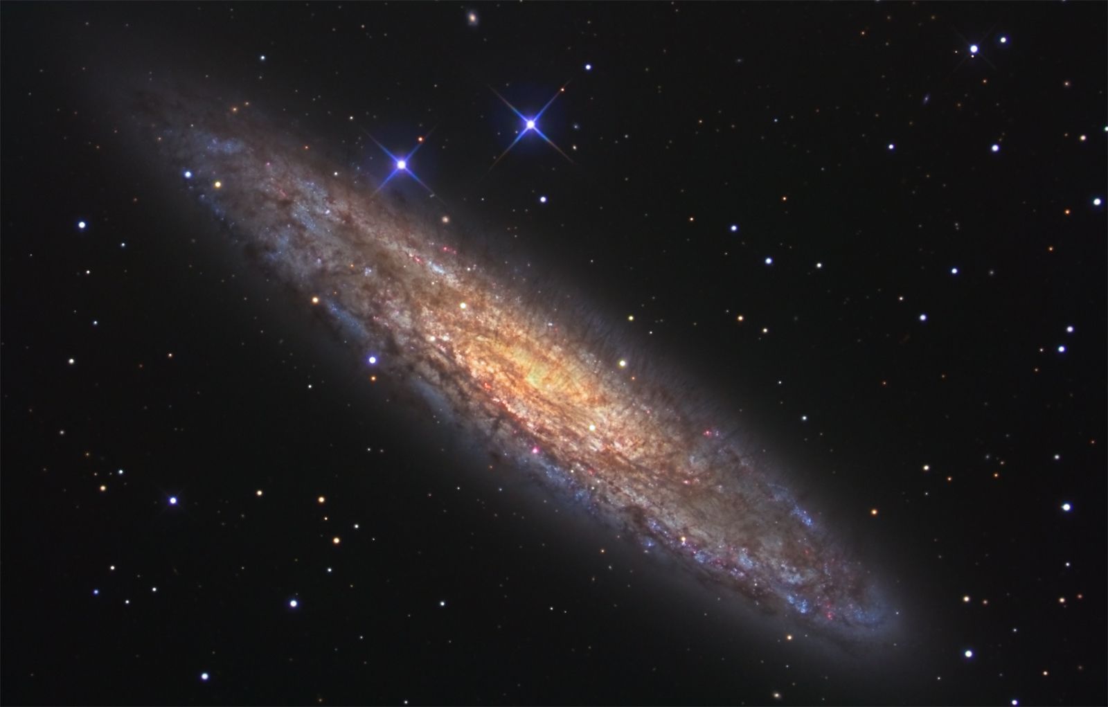 NGC 253: Dusty Island Universe