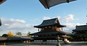 Japan's First Heritage Site Delisting Shakes Cultural Landscape